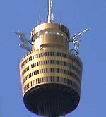 sydney_tower.jpg (12859 Byte)